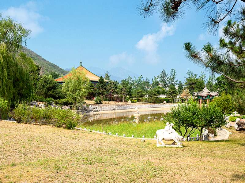 天寿陵园墓地有期限吗？墓地管理费怎么交？